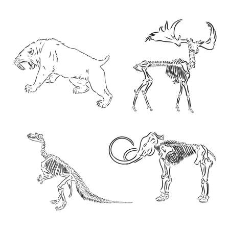Set of silhouettes of skeletons of dinosaurs and fossils. Hand drawn vector illustration. Silhouettes of man and children, comparison of sizes, realistic size.のイラスト素材