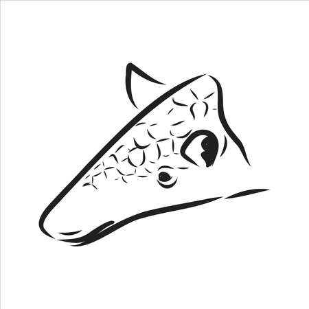 Armadillo cingulata animal sketch engraving vector illustration. T-shirt apparel print design. Scratch board imitation. Black and white hand drawn image.のイラスト素材