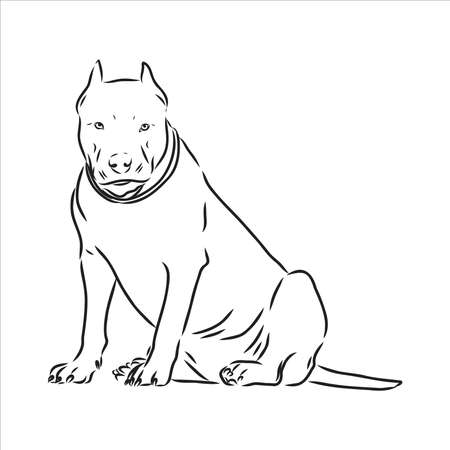 絵画 PITBULL  27x51cm 12 Pitbull ideas | pitbull art, pitbulls, pitbull dog