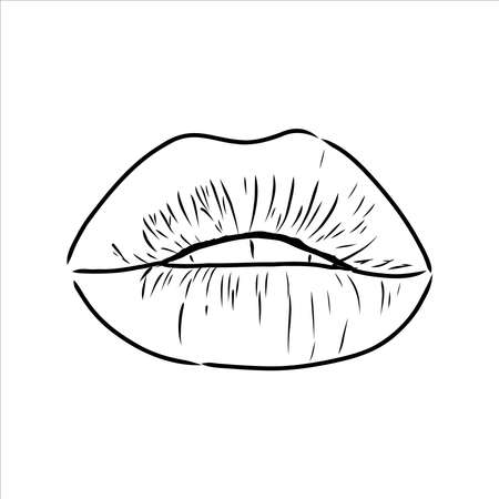 Sexy plump lips kiss pink watercolor and line art, Hand drawn vector illustration isolatedのイラスト素材