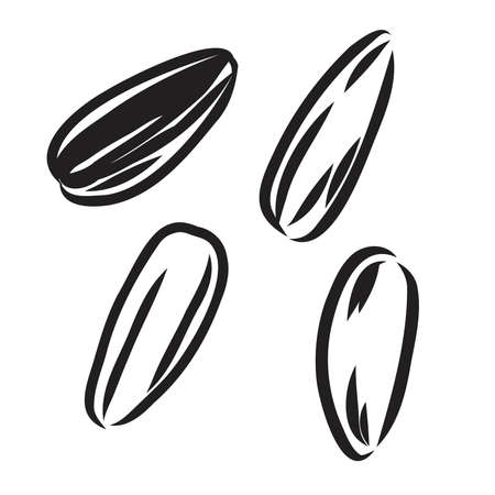 Sunflower seed isolated on white background. Hand drawn sketch. Vector illustration.のイラスト素材