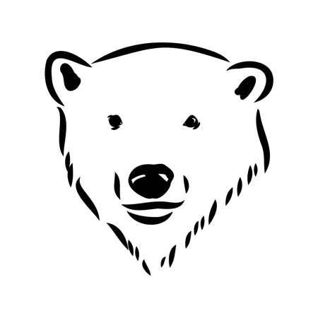 Polar bear illustration, drawing, engraving, ink, line art, vectorのイラスト素材