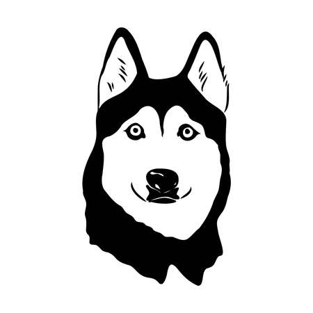 Husky isolated on white background. Stencil. Dog silhouette.のイラスト素材
