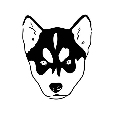 Husky isolated on white background. Stencil. Dog silhouette.のイラスト素材