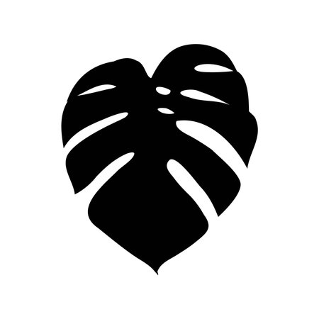 Exotic monstera. Continuous one-line drawing. Handmade summer tropical leaf on white background. Minimalist design. Maranta leaf.のイラスト素材