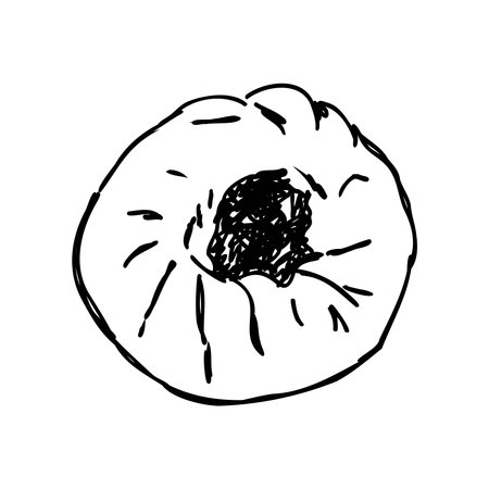 Indian, Asian food delicious samsa. Vector hand drawn illustration.sketchのイラスト素材