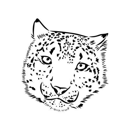 Snow leopard , hand drawn doodle, sketch in pop art style, vector illustrationのイラスト素材