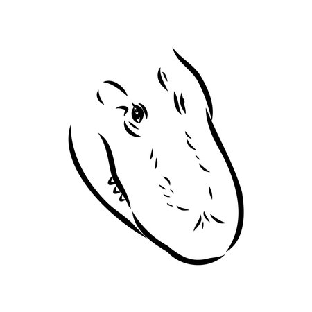 Hand-drawn pencil graphics, crocodile, alligator, croc. Engraving, stencil style. Black and white logo, sign, emblem, symbol. Stamp, seal. Simple illustration. Sketch.のイラスト素材