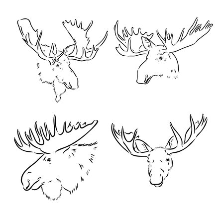 black and white engrave isolated elk hand draw vector illustrationのイラスト素材