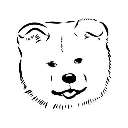 Japanese akita inu dog, vector outline illustrationのイラスト素材