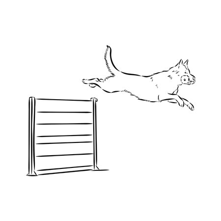 Scenes of dog training with cartoon characters of man and his pet learning various commandsのイラスト素材