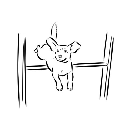 Scenes of dog training with cartoon characters of man and his pet learning various commandsのイラスト素材