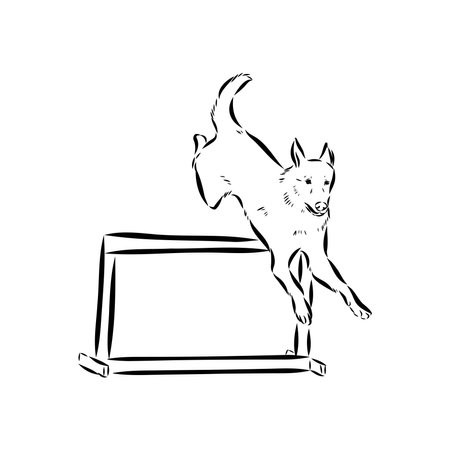 Scenes of dog training with cartoon characters of man and his pet learning various commandsのイラスト素材