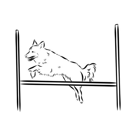 Scenes of dog training with cartoon characters of man and his pet learning various commandsのイラスト素材