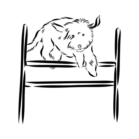 Scenes of dog training with cartoon characters of man and his pet learning various commandsのイラスト素材