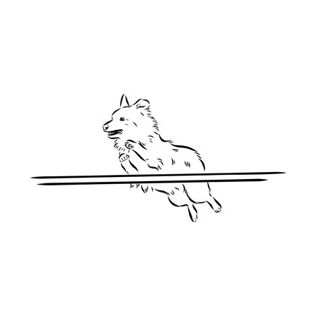 Scenes of dog training with cartoon characters of man and his pet learning various commandsのイラスト素材