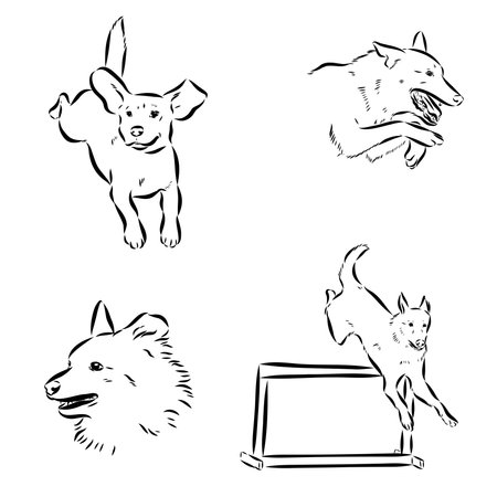 Scenes of dog training with cartoon characters of man and his pet learning various commandsのイラスト素材