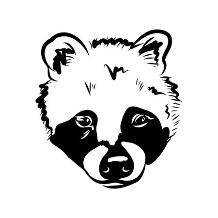 Vector illustration. Hand drawn realistic sketch of asian palm civet or toddy cat.のイラスト素材