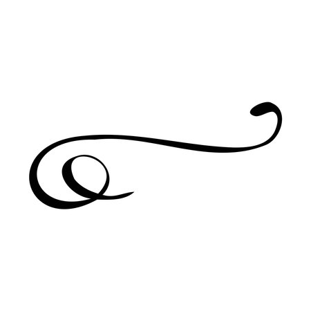 Flourish swirl ornate decoration for pointed pen ink calligraphy style curl for lettering, vectorのイラスト素材