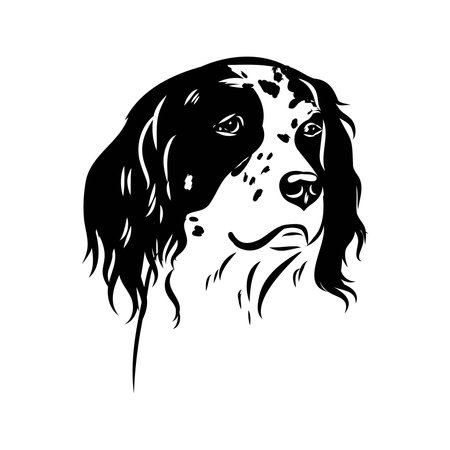 Decorative portrait of standing in profile English Setter, vector isolated illustrationのイラスト素材