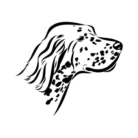 Decorative portrait of standing in profile English Setter, vector isolated illustrationのイラスト素材