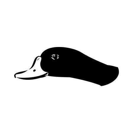 Comprehensive Shelduck Line Art Vector Set for Detailed Illustrationsのイラスト素材