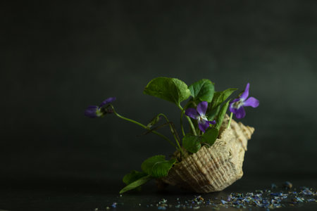 Beautiful violets in vase on dark background, closeupの写真素材