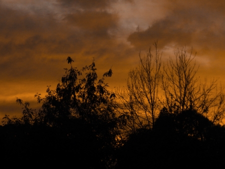 Yellow Sunsetの写真素材