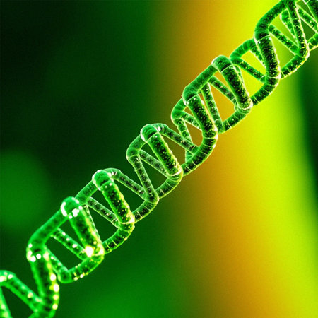 DNA strands on a green background. 3d rendering, 3d illustration.の素材