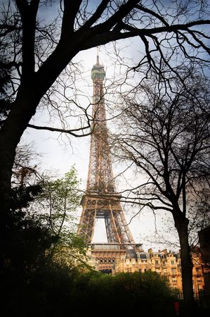 Silhouette of trees by the Eiffel tower in Paris