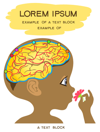 Vector Illustration. Flat cartoon style. The head of a person with the image of the brain and blood vessels on it.のイラスト素材