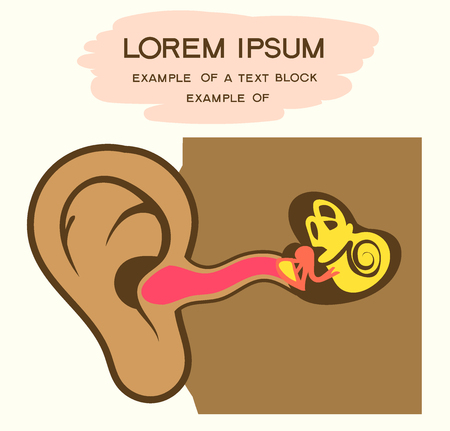 Vector illustration Flat cartoon style. Anatomy image of the human ear. The scheme for children.のイラスト素材