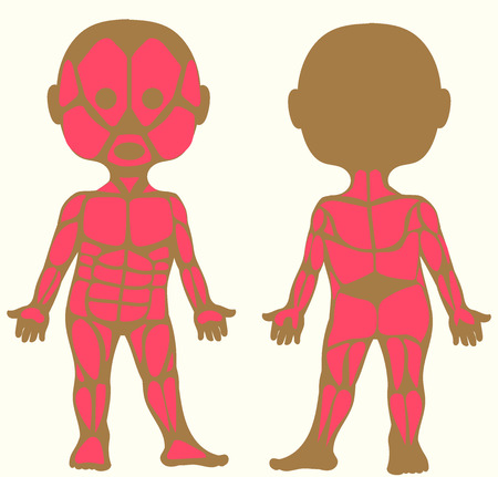Vector illustration. Flat cartoon style. Silhouette of a child with the image of muscle tissueのイラスト素材