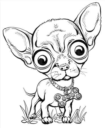 Vector illustration. Funny Chihuahua puppy stands on the grass. drawing for coloring or printのイラスト素材