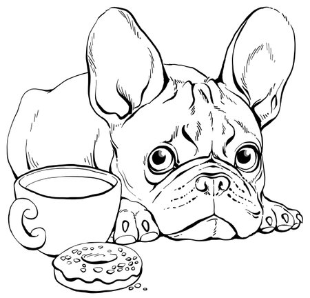Vector illustration. Contour portrait of a cute French Bulldog. Can be used for coloring.のイラスト素材