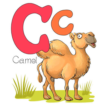 Vector illustration. Alphabet with animals. Large capital letter C with a picture of a bright cute camelのイラスト素材