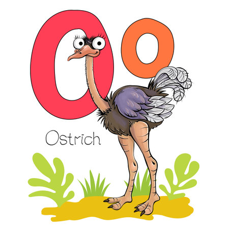 Vector illustration. Alphabet with animals. Large capital letter O with a picture of a bright cute ostrich.のイラスト素材
