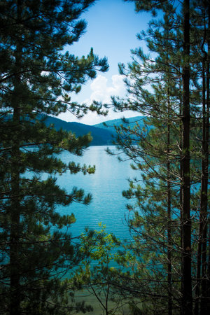 Lake Arvo in the Sila woods. Calabria. Italyの写真素材