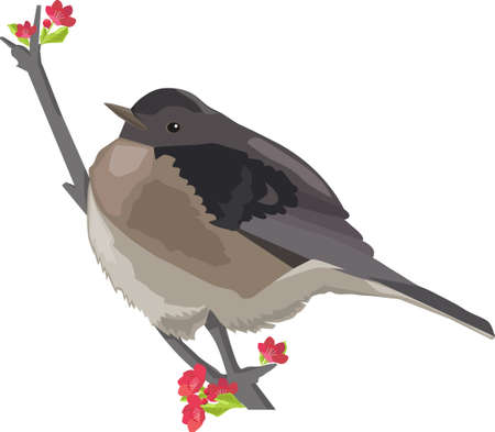 bird on branch with flowers illustration on white background.のイラスト素材