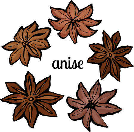 anise isolated on white background Vector illustration.のイラスト素材