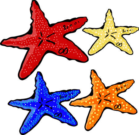 Collection of sea stars on a white backgroundのイラスト素材