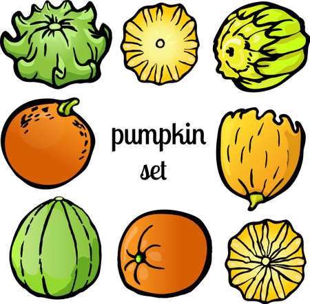Colorful harvest of pumpkins on white backgroundのイラスト素材