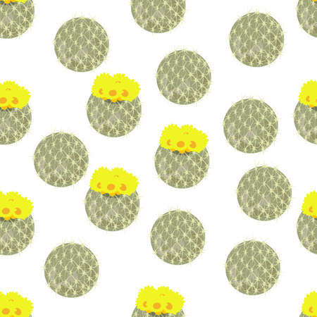 cactus pattern on a white background Vector illustration.のイラスト素材