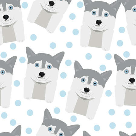 husky with blue eyes.のイラスト素材