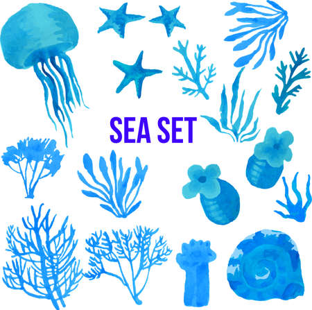 Set of marine plants and animals isolated on white backgroundのイラスト素材
