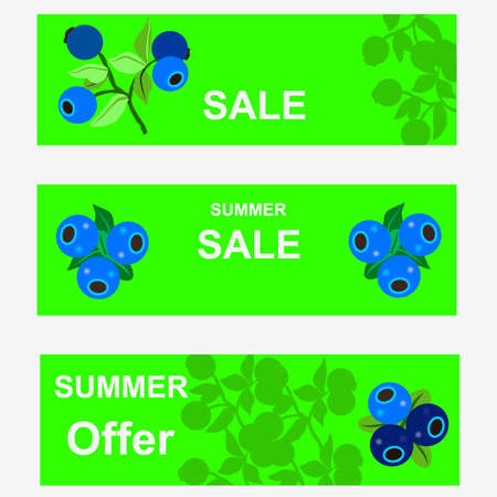 Blueberries on a green background. Berry background for sale.のイラスト素材