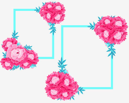 Set with frame and pink peonies on white background. Vector flower collection.のイラスト素材