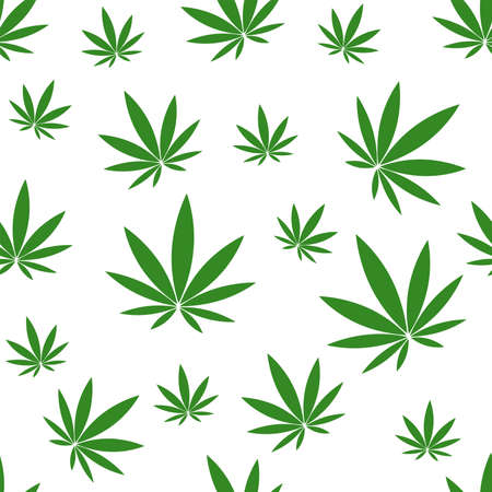 Seamless pattern with green hemp on white background.のイラスト素材