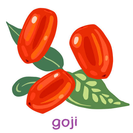 Ripe Goji berries and leaves isolated on a white backgroundのイラスト素材