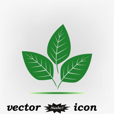 Leaves icon, vector illustrationのイラスト素材